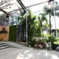 Dasada Gallery Preview